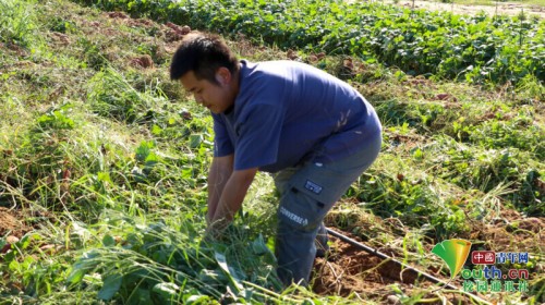 图片 4.jpg 图片 4.jpg